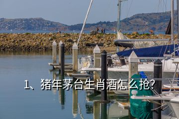 1、豬年茅臺(tái)生肖酒怎么搶？