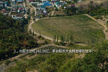 1、向股東分紅242.35億，茅臺股東大會釋放哪些信號？