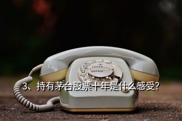 3、持有茅臺(tái)股票十年是什么感受？