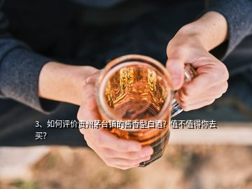 3、如何評價貴州茅臺鎮(zhèn)的醬香型白酒？值不值得你去買？