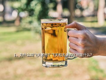 1、為什么叫飛天茅臺(tái)？飛天和五星的區(qū)別是什么？