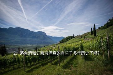 2、茅臺(tái)酒和五糧液酒真的有三千多年歷史了嗎？