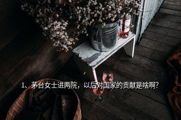 1、茅臺女士進(jìn)兩院，以后對國家的貢獻(xiàn)是啥??？