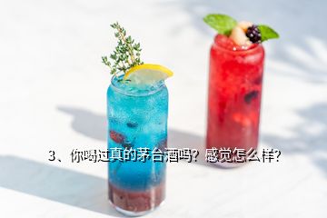 3、你喝過(guò)真的茅臺(tái)酒嗎？感覺(jué)怎么樣？