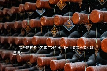 1、茅臺鎮(zhèn)有多少家酒廠呀？他們比國酒茅臺差在哪里呢？