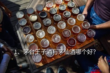 1、茅臺王子酒與茅仙酒哪個好？