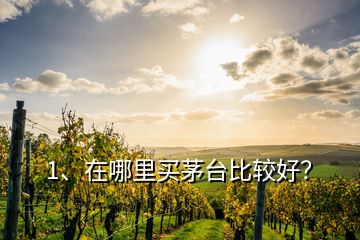 1、在哪里買茅臺比較好？