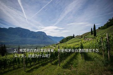 2、喝其他白酒經(jīng)常容易暈，可是喝茅臺白酒就感覺不怎么上頭，這是為什么呢？