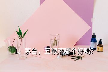 1、茅臺，五糧液哪個好喝？