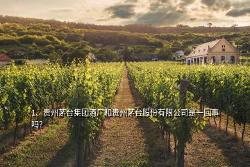 1、貴州茅臺集團(tuán)酒廠和貴州茅臺股份有限公司是一回事嗎？