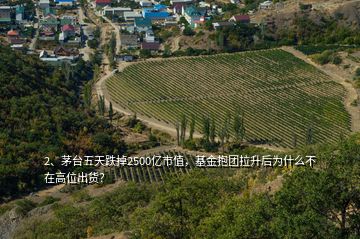 2、茅臺五天跌掉2500億市值，基金抱團(tuán)拉升后為什么不在高位出貨？