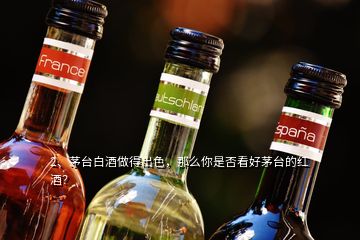 2、茅臺白酒做得出色，那么你是否看好茅臺的紅酒？