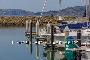 1、為什么叫飛天茅臺(tái)？飛天和五星的區(qū)別是什么？