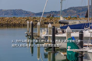 3、為什么喝茅臺不會拒絕五糧液，而多次遇到愛喝五糧液的人卻拒喝茅臺，理由是不喜歡醬香？