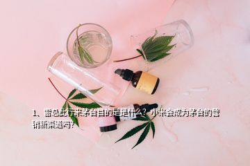 1、雷總此行來茅臺(tái)目的是是什么？小米會(huì)成為茅臺(tái)的營銷新渠道嗎？