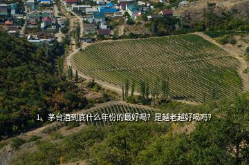 1、茅臺酒到底什么年份的最好喝？是越老越好喝嗎？