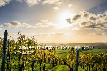 1、如何看待貴州茅臺開盤跌停，股價創(chuàng)一年新低呢？這是怎么回事呢？