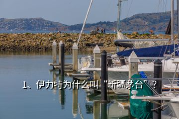 1、伊力特為什么叫“新疆茅臺”？