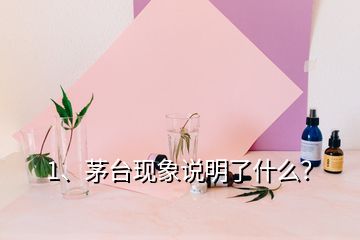 1、茅臺現(xiàn)象說明了什么？