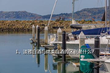 1、淡雅白酒與綿柔白酒的區(qū)別是什么？