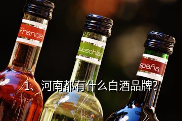 1、河南都有什么白酒品牌？