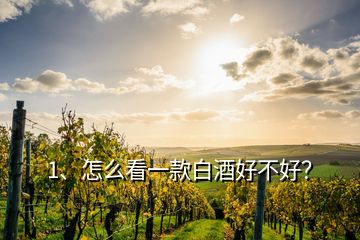 1、怎么看一款白酒好不好？