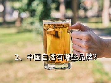 2、中國白酒有哪些品牌？