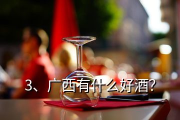 3、廣西有什么好酒？