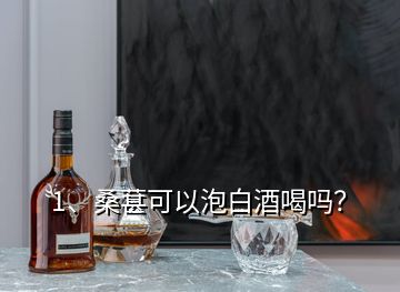 1、桑葚可以泡白酒喝嗎？