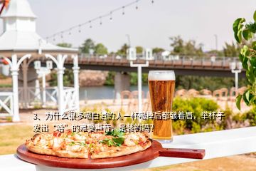 3、為什么很多喝白酒的人一杯喝掉后都皺著眉，舉杯子發(fā)出“哈”的難受聲音，是裝的嗎？