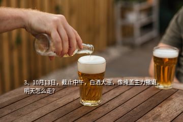 3、10月13日，截止中午，白酒大漲，像掩蓋主力撤退，明天怎么走？