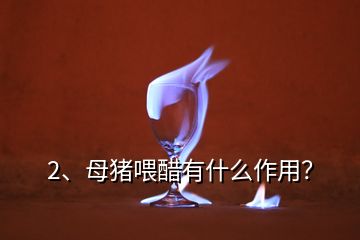 2、母豬喂醋有什么作用？