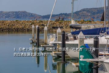 3、在老上海的時(shí)候，喝酒總習(xí)慣說(shuō)成“吃老酒”，上海的白酒發(fā)展史是怎樣的？