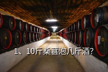 1、10斤桑葚泡幾斤酒？