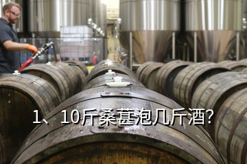 1、10斤桑葚泡幾斤酒？