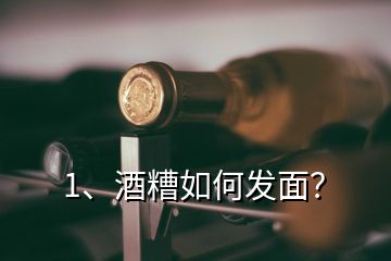 1、酒糟如何發(fā)面？