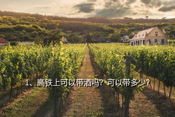 1、高鐵上可以帶酒嗎？可以帶多少？