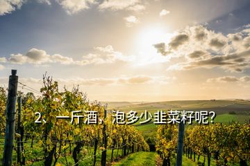 2、一斤酒，泡多少韭菜籽呢？