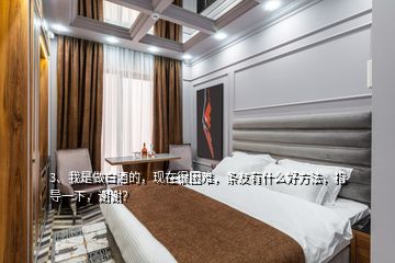 3、我是做白酒的，現(xiàn)在很困難，條友有什么好方法，指導(dǎo)一下，謝謝？