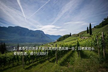 2、醬香型白酒是不是比其他的酒高端一些，回老家給長(zhǎng)輩帶白酒，哪個(gè)比較好？