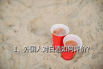 1、外國人對白酒如何評價？