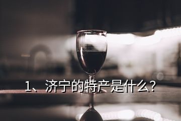 1、濟(jì)寧的特產(chǎn)是什么？