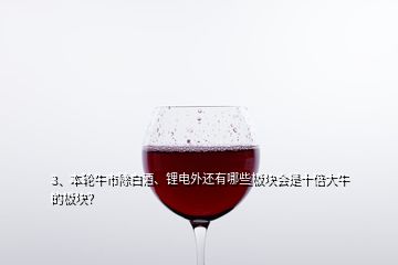 3、本輪牛市除白酒、鋰電外還有哪些板塊會(huì)是十倍大牛的板塊？