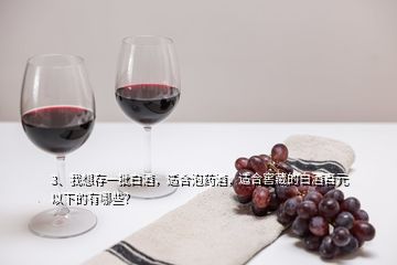 3、我想存一批白酒，適合泡藥酒，適合窖藏的白酒百元以下的有哪些？