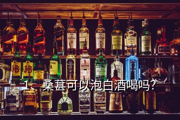 1、桑葚可以泡白酒喝嗎？