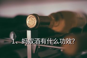 1、螞蟻酒有什么功效？