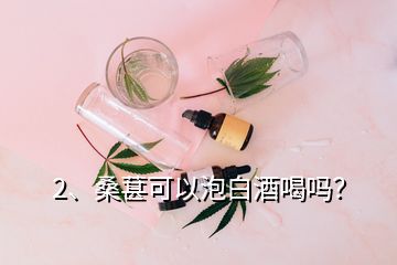 2、桑葚可以泡白酒喝嗎？