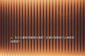 1、為什么要給母豬喝白酒呢？白酒對母豬有什么神奇的效果呢？