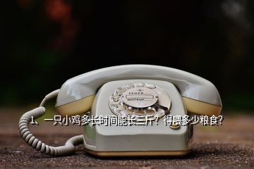 1、一只小雞多長時間能長三斤？得喂多少糧食？