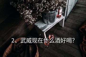 2、武威現(xiàn)在什么酒好喝？